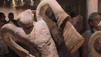 Spanish traveler explores Xuzhou Museum's Han Dynasty treasures        